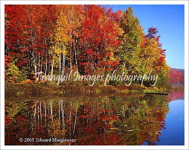 450246---Halfmoon Lake reflections. View 2 - Copy